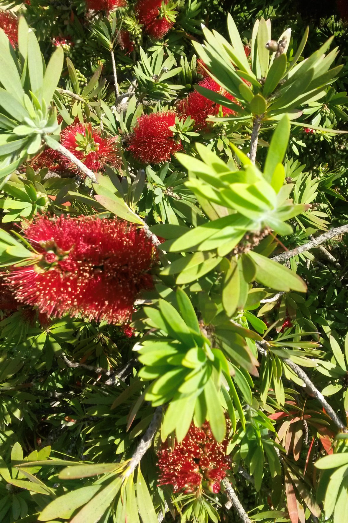 20161126_1743100_lzn