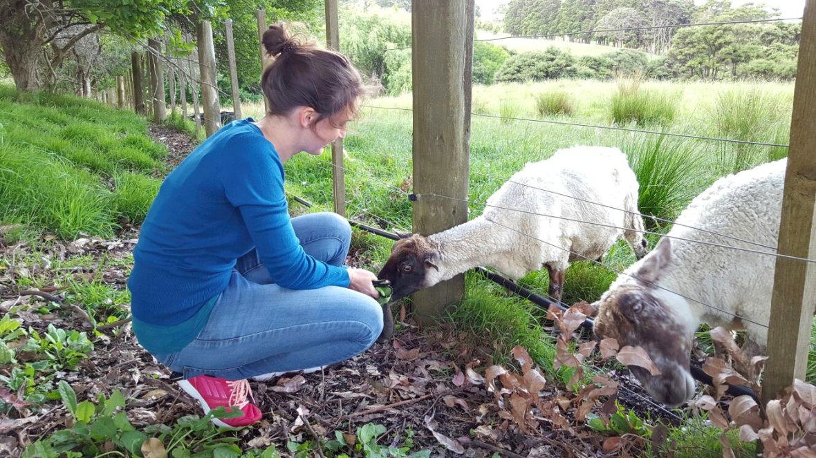 img-20161117-wa0053_lzn