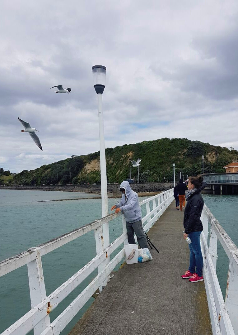 img-20161120-wa0009_lzn